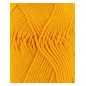 Phil Coton 4 jaune d'or Phil Coton 4 jaune d'or