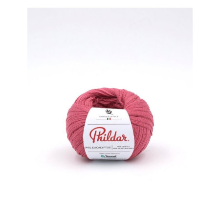 Breiwol Phildar Phil Eucalyptus Rose des sables