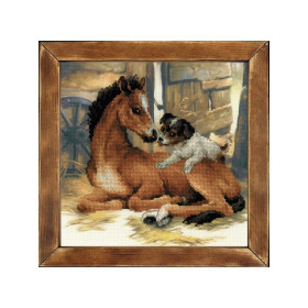 Riolis Kit de broderie Poulain et chiot