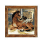 Stickset Fohlen und Welpe Stickset Fohlen und Welpe