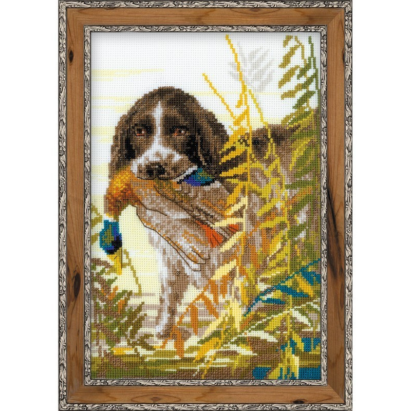 Borduurpakket Jacht Spaniel Borduurpakket Jacht Spaniel