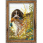 Borduurpakket Jacht Spaniel Borduurpakket Jacht Spaniel