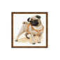 Embroidery kit Pug Dog Embroidery kit Pug Dog