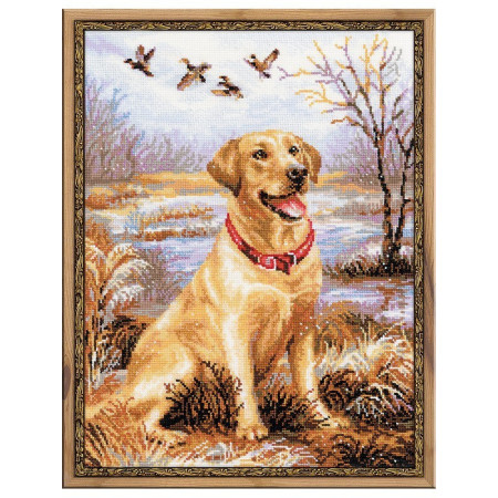 Riolis Borduurpakket Labrador