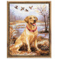 Kit de broderie Labrador Kit de broderie Labrador