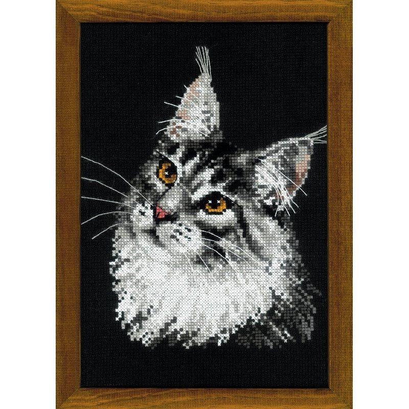 Kit de broderie Coon Maine Kit de broderie Coon Maine