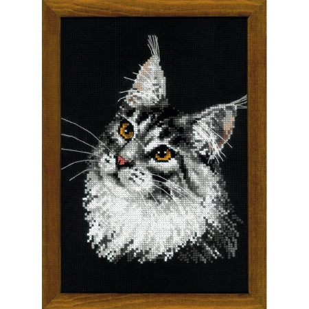 Riolis Borduurpakket Maine Coon