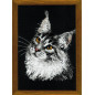 Embroidery kit Maine Coon
