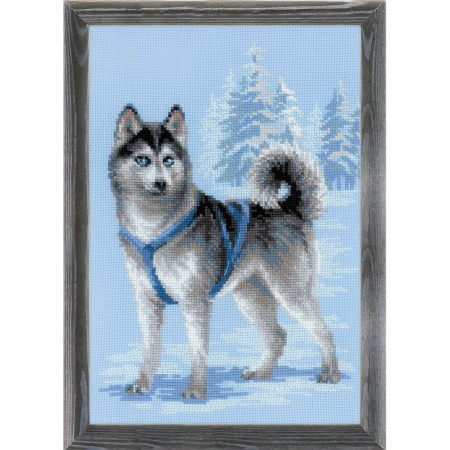 Riolis Embroidery kit Husky