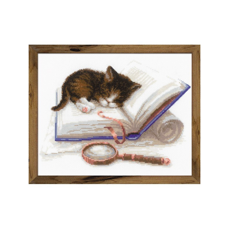 Borduurpakket Kitten op het boek Borduurpakket Kitten op het boek