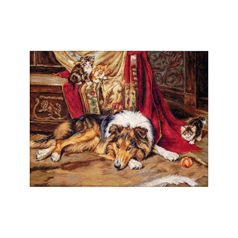 Kit de broderie Un compagnon de jeu réticent