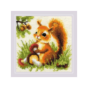 Riolis Kit de broderie Écureuil