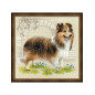 Embroidery kit Sheltie Embroidery kit Sheltie