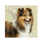 Borduurpakket Sheltie Borduurpakket Sheltie
