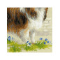 Borduurpakket Sheltie Borduurpakket Sheltie