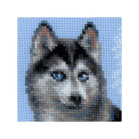 Stickset Husky
