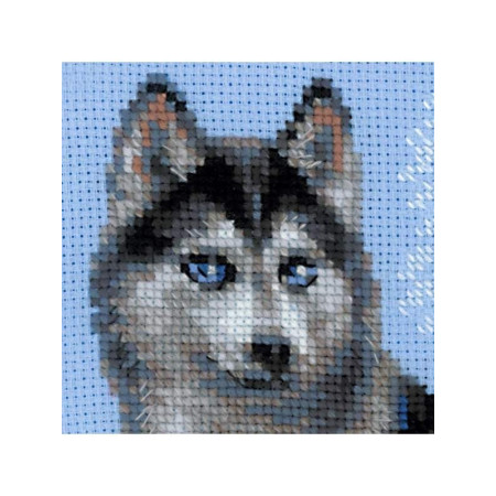 Borduurpakket Husky