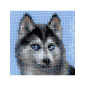 Kit de broderie Husky Kit de broderie Husky
