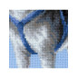 Kit de broderie Husky Kit de broderie Husky