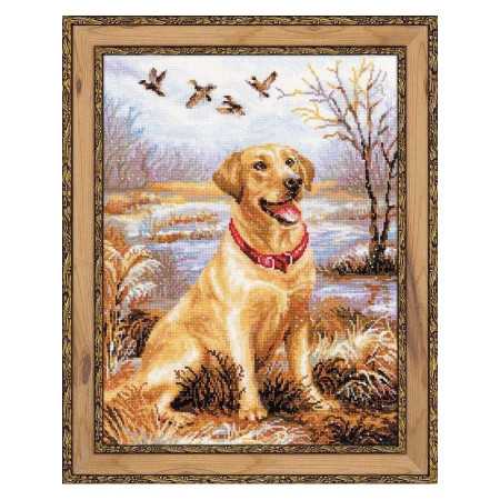 Borduurpakket Labrador