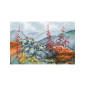 Embroidery kit Wonderful North 1 Embroidery kit Wonderful North 1