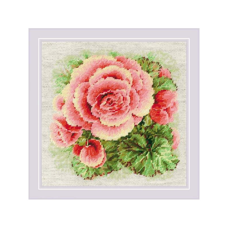 Stickset Begonia Stickset Begonia