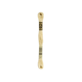 borduurgaren DMC Mouliné 677