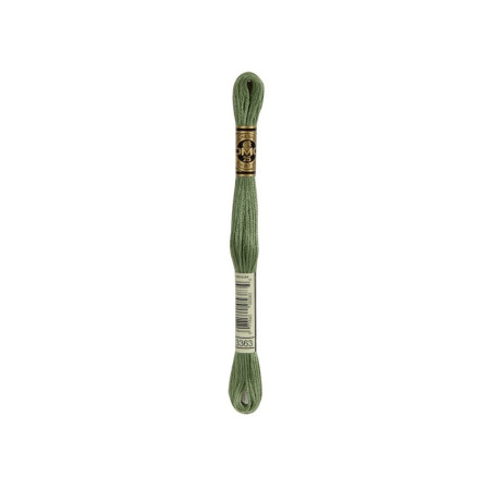 borduurgaren DMC Mouliné 3363