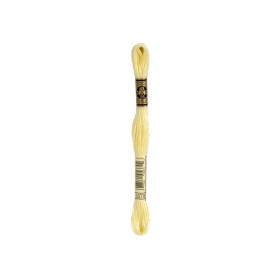 borduurgaren DMC Mouliné 3078