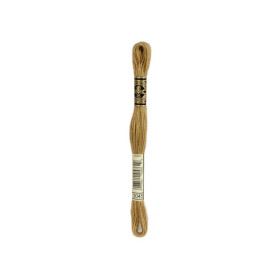 borduurgaren DMC Mouliné 3045