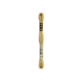 borduurgaren DMC Mouliné 3046