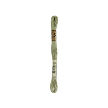 borduurgaren DMC Mouliné 3053