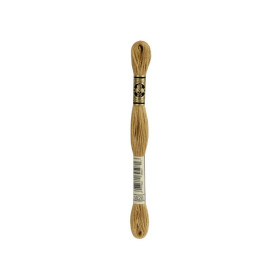 borduurgaren DMC Mouliné 3828