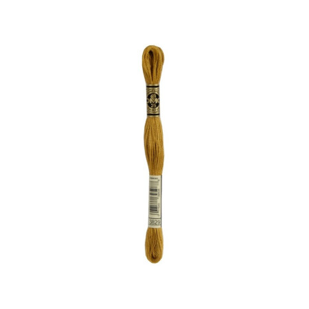 borduurgaren DMC Mouliné 3829