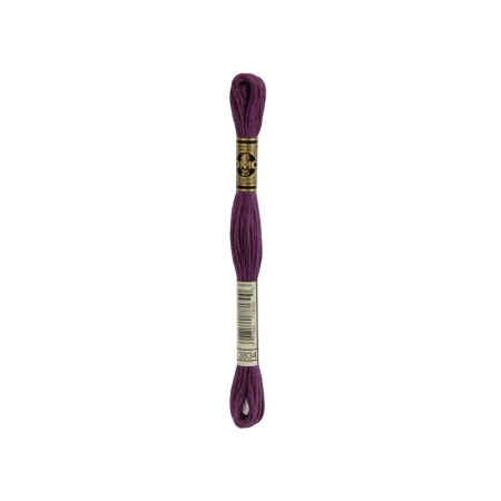 borduurgaren DMC Mouliné 3834