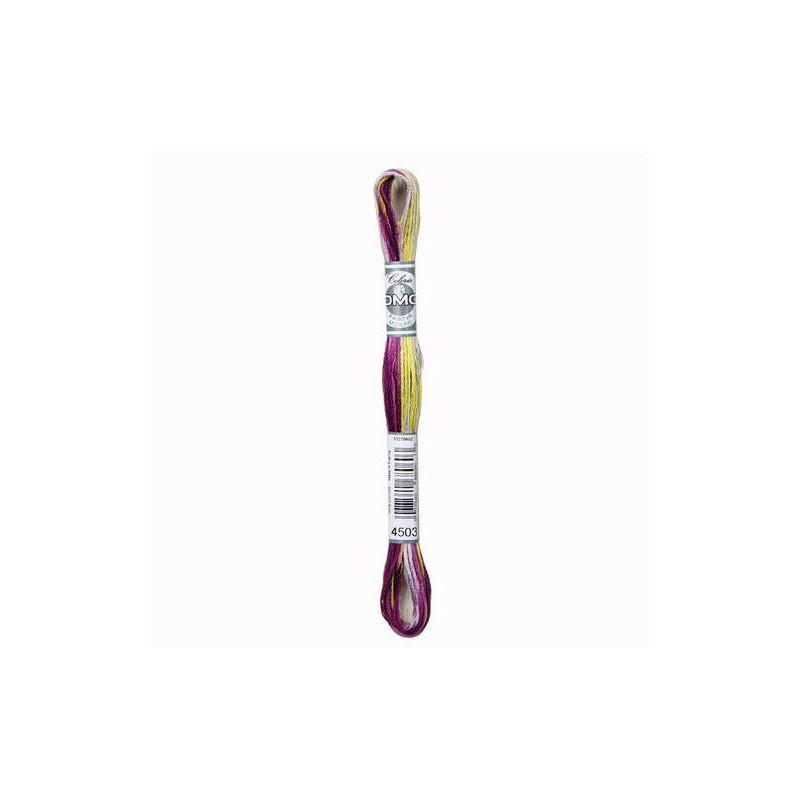 DMC Mouliné Coloris 4503 DMC Mouliné Coloris 4503