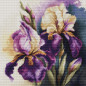 Borduurpakket Iris Burgemeister Borduurpakket Iris Burgemeister