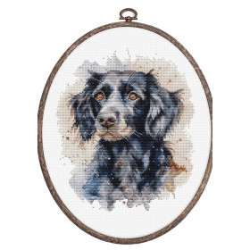 Luca-S Borduurpakket Border Collie