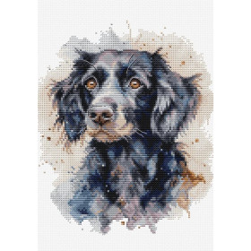 Borduurpakket Border Collie