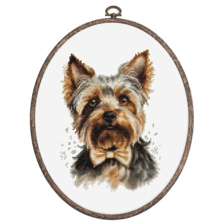 Luca-S Borduurpakket Yorkshire Terrier