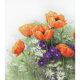 Luca-S Kit de broderie Coquelicots 5