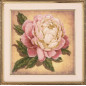 Embroidery kit Peony Embroidery kit Peony