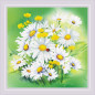 Embroidery kit Chamomiles Embroidery kit Chamomiles