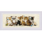 Kit de broderie Chatons Kit de broderie Chatons