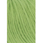 Amira Light 016 Amira Light 016