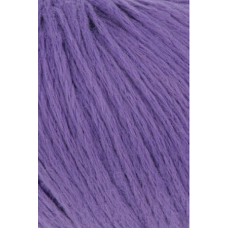 Amira Light 046