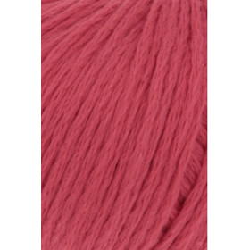 Amira Light 060