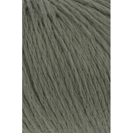 Amira Light 097