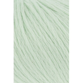 Amira Light 191