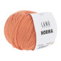 Norma 0061 Norma 0061